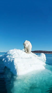 Global warming causes frequent occurrences of extreme