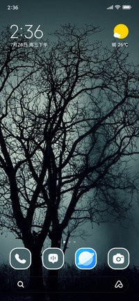 Silhouetted Trees