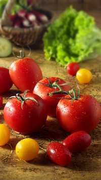 How to prevent Aphthous stomatitis 74