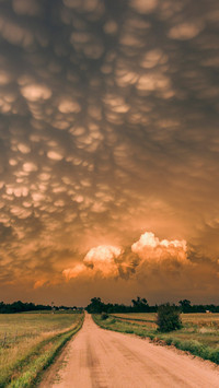 Rare Milk 62 After Thunderstorm Weather in the United States