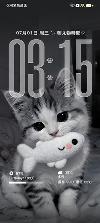 小猫心事嘀嗒