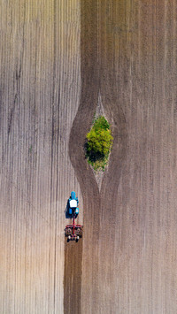 Originally spring plowing relied entirely on the support