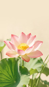 不负盛夏，不负时光