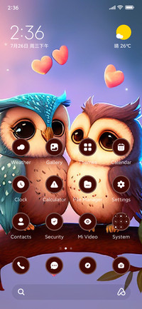 Couple Owl