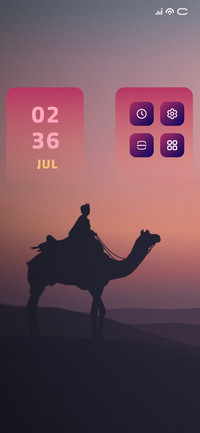Camel Ride
