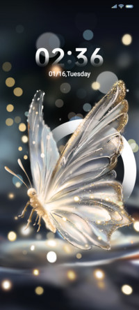 Butterfly simple
