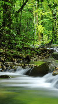 Natural rivers