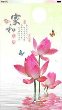 富贵花开（气泡动态+桌面动态）