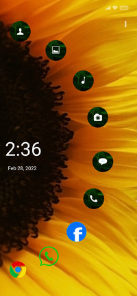 Sunflower Quo