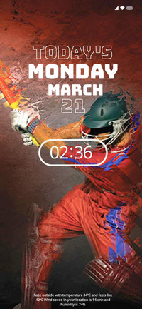 Flip Cricket