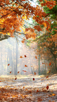 Autumn style