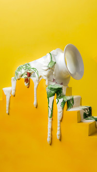 The most expensive porcelain in history 36