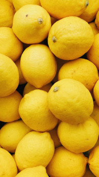 fruit