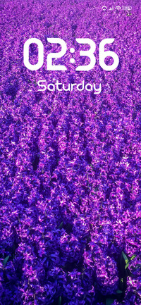 Lavender