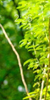 Light Green_DWM2