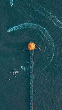 What are the free tourist attractions in Qingdao