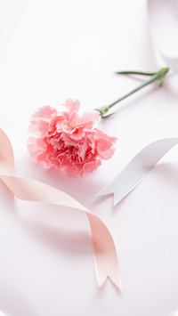 Mother's Day Flowers
