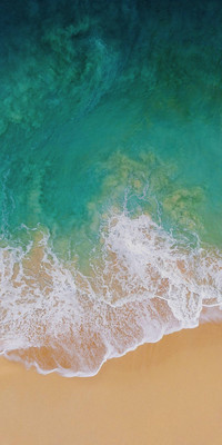 Iphone_11-9b7417f5-1da9-4d9e-9ed0-fc20cb090584