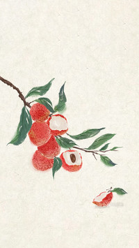 Where does feixiao litchi come from