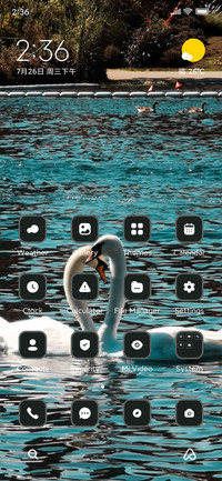 Couple Swan