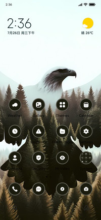 Eagle View