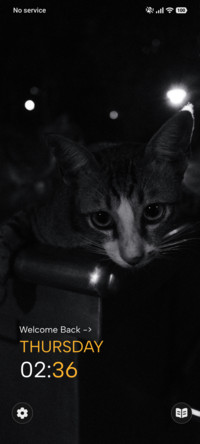 Resting Cat