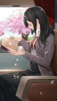又是一年繁花季