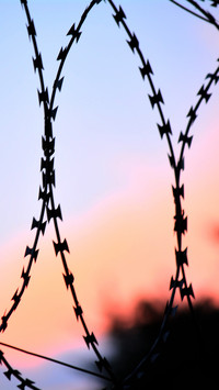 111992_1440x2560.jpg