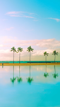 Tall Palm Trees in Tranquil Turquoise Water
