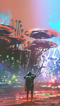 man looking at colorful coral forest