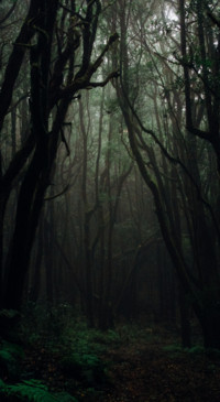 Mystery (28)