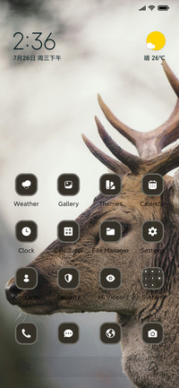 Wild Deer