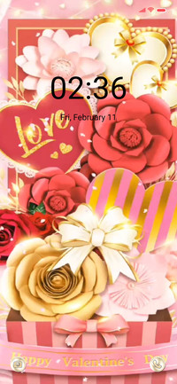 Valentine's gift