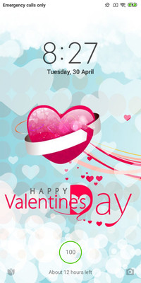 Valentine's Day  love 