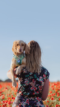 可卡犬跟着主人游遍英国