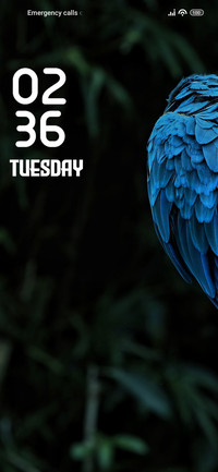 Parrot
