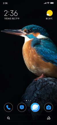 Brown Bird
