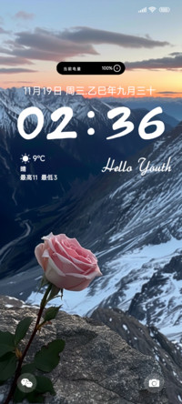 盛开的玫瑰