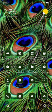 Peacock feathers