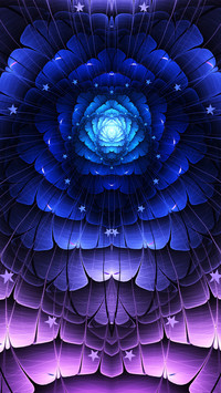 A romantic heart