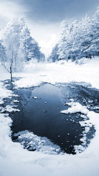 雪地风光-拍信图库