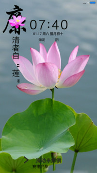 夏雨荷