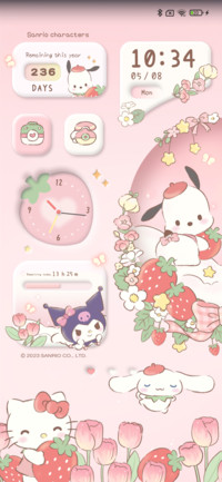 Sanrio Fairy tulip