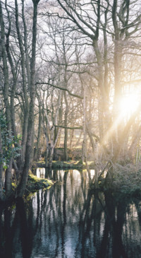 Fantasy World  (15)