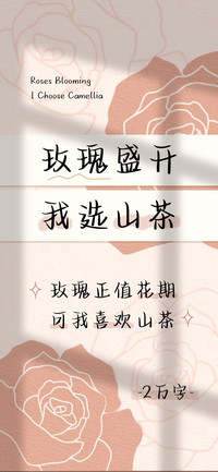 玫瑰盛开但我选山茶