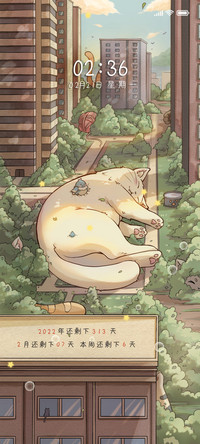 午后躲猫猫