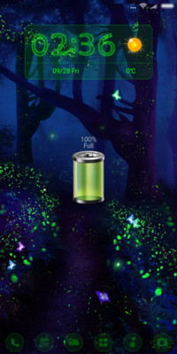 Firefly Forest