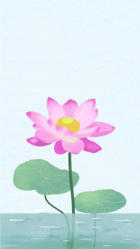 植物插画-视觉中国