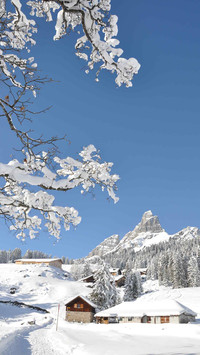 Winter Snow Country