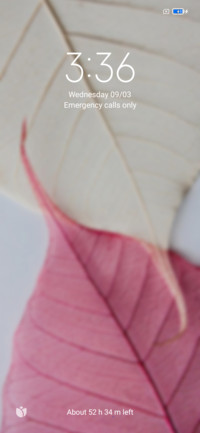 LEAF OS 12.5